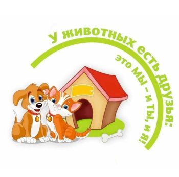 акция 