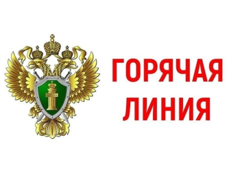 Горячая линия: IT-преступления