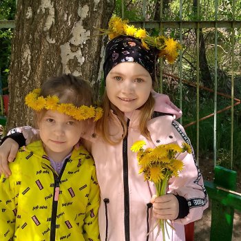 Одуванчик: Солнечный Лекарь!