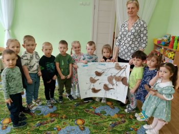 20 марта отмечается Всемирный день воробья
